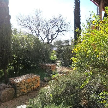 T2 36 M2, Rdc De Villa, Clim, Gd Jardin Clos, Animx Ok, Quartier Mt Faron Tres Calme, Wifi, Parking Τουλόν Εξωτερικό φωτογραφία