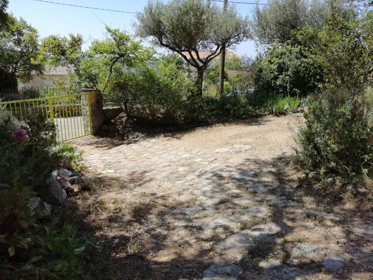 T2 36 M2, Rdc De Villa, Clim, Gd Jardin Clos, Animx Ok, Quartier Mt Faron Tres Calme, Wifi, Parking Τουλόν Εξωτερικό φωτογραφία