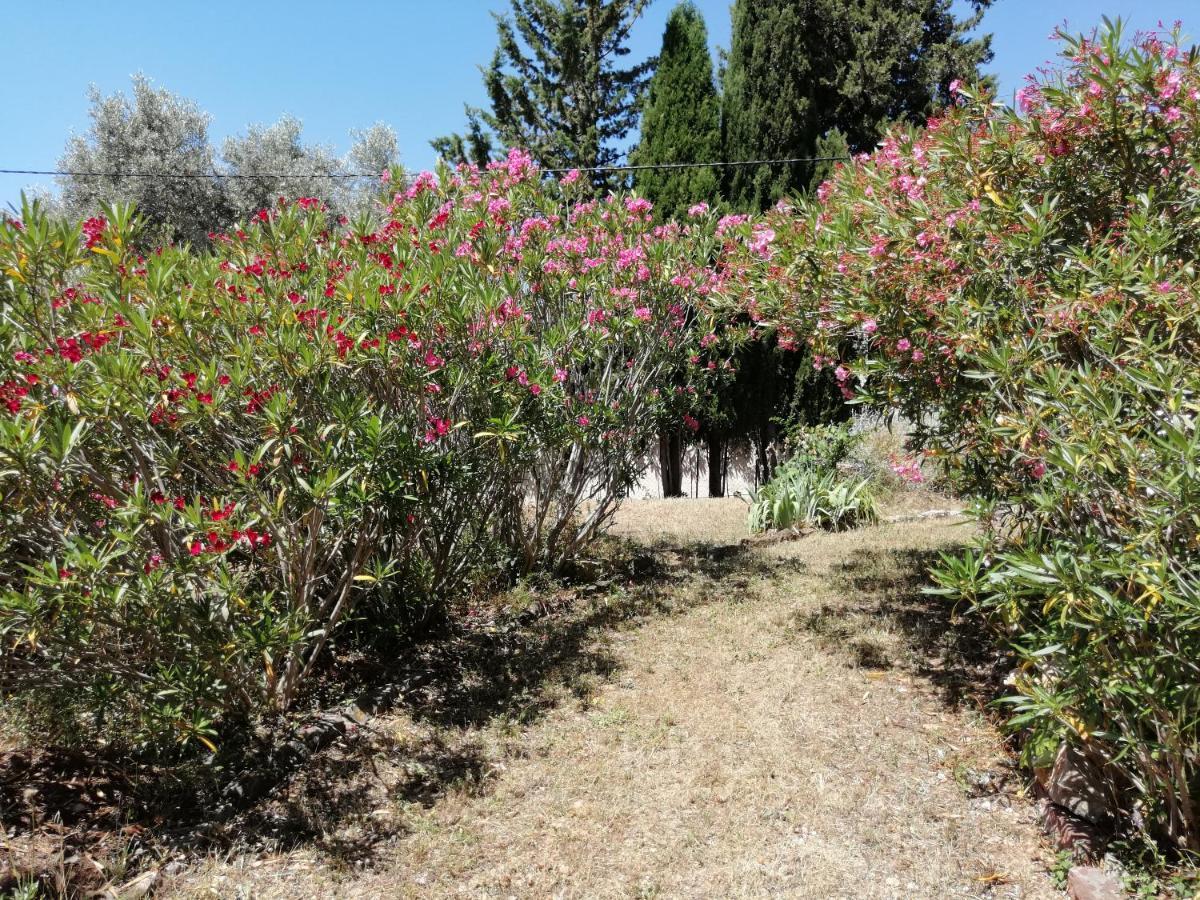 T2 36 M2, Rdc De Villa, Clim, Gd Jardin Clos, Animx Ok, Quartier Mt Faron Tres Calme, Wifi, Parking Τουλόν Εξωτερικό φωτογραφία