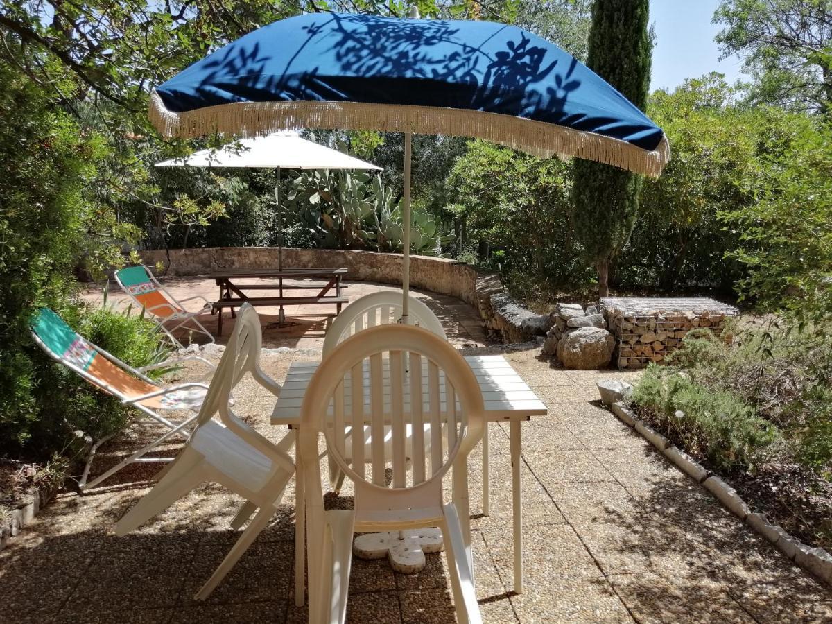 T2 36 M2, Rdc De Villa, Clim, Gd Jardin Clos, Animx Ok, Quartier Mt Faron Tres Calme, Wifi, Parking Τουλόν Εξωτερικό φωτογραφία