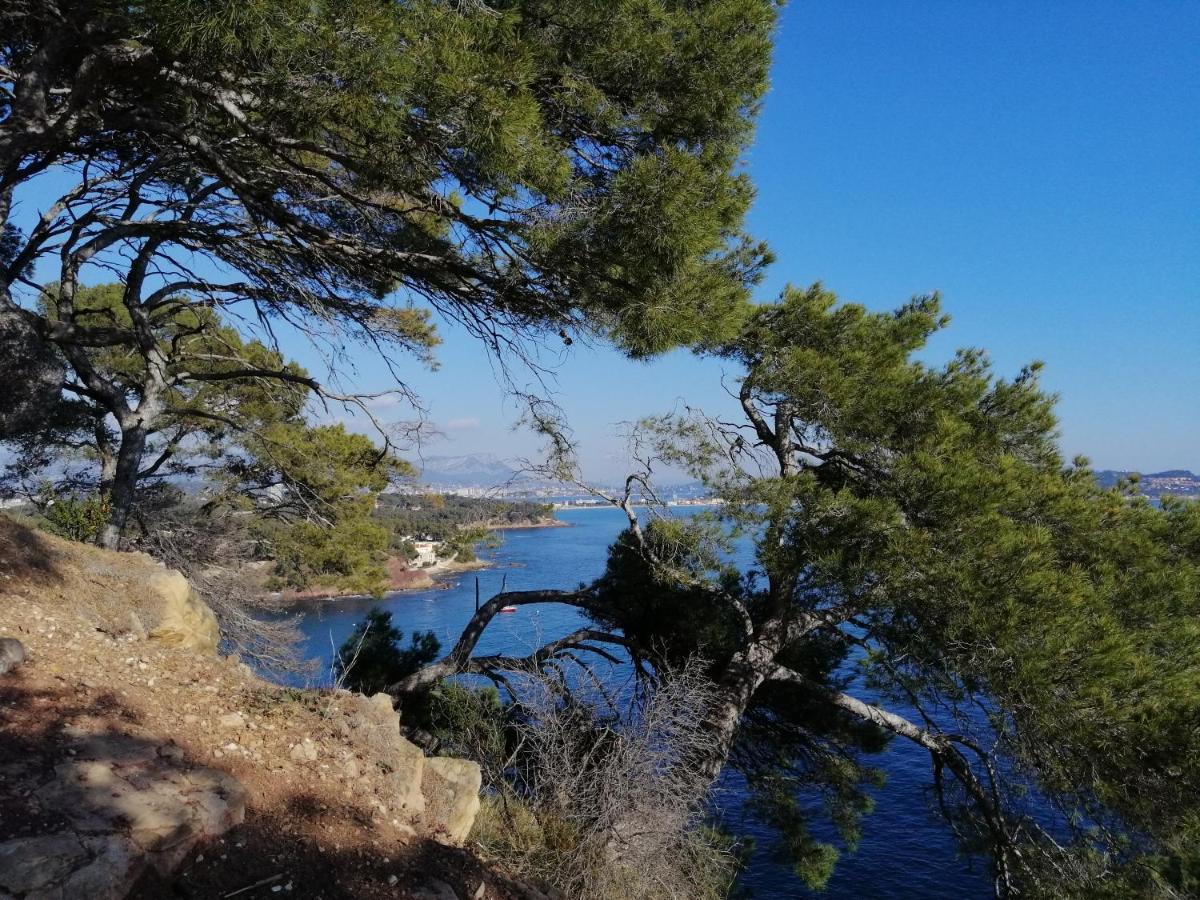 T2 36 M2, Rdc De Villa, Clim, Gd Jardin Clos, Animx Ok, Quartier Mt Faron Tres Calme, Wifi, Parking Τουλόν Εξωτερικό φωτογραφία